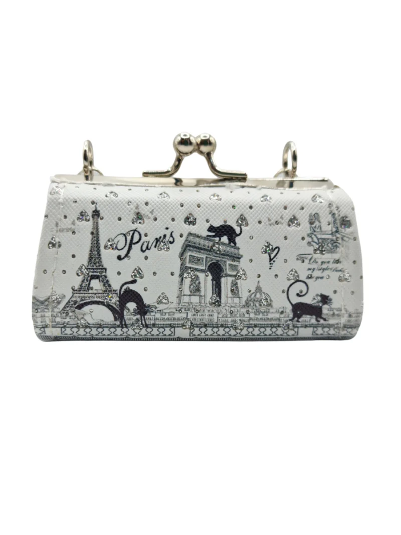 Chat-noir-souvenir-purse-claps-lock-Roneljake