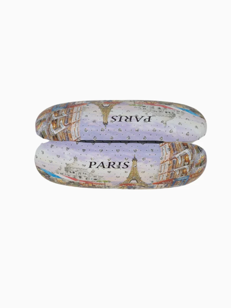 Paris-Themed-Souvenir-Sunglass-Case-Roneljake