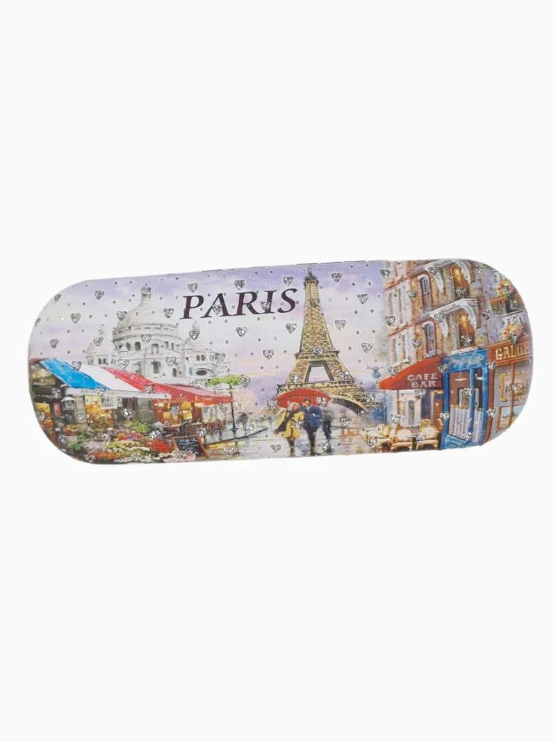 Paris-Themed-Sunglass-Case-Roneljake
