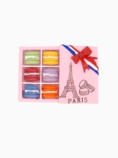 Paris-macaron-fridge-magnet-with-Eiffel-Tower-design-in-colorful-macaron-box-style_Roneljake
